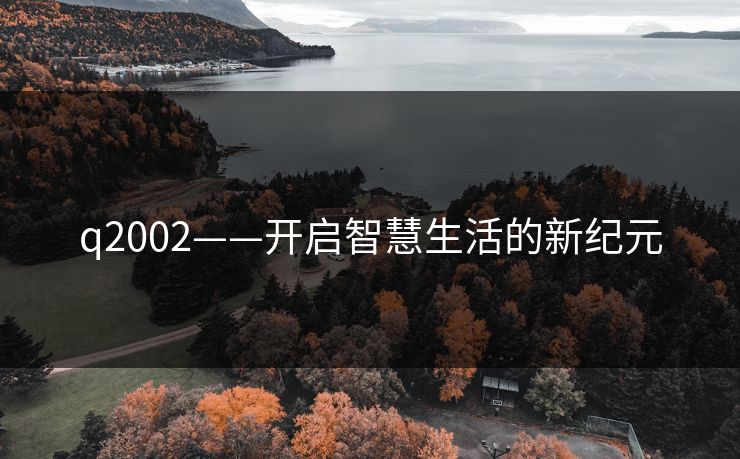 q2002——开启智慧生活的新纪元