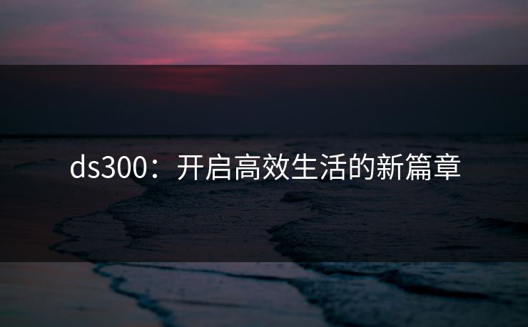 ds300:开启高效生活的新篇章 ds300:开启高效生活的新篇章