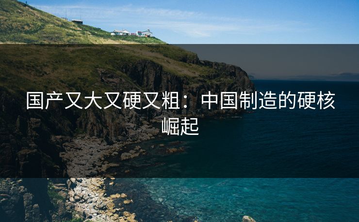 国产又大又硬又粗：中国制造的硬核崛起