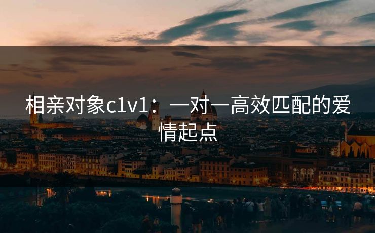 相亲对象c1v1：一对一高效匹配的爱情起点