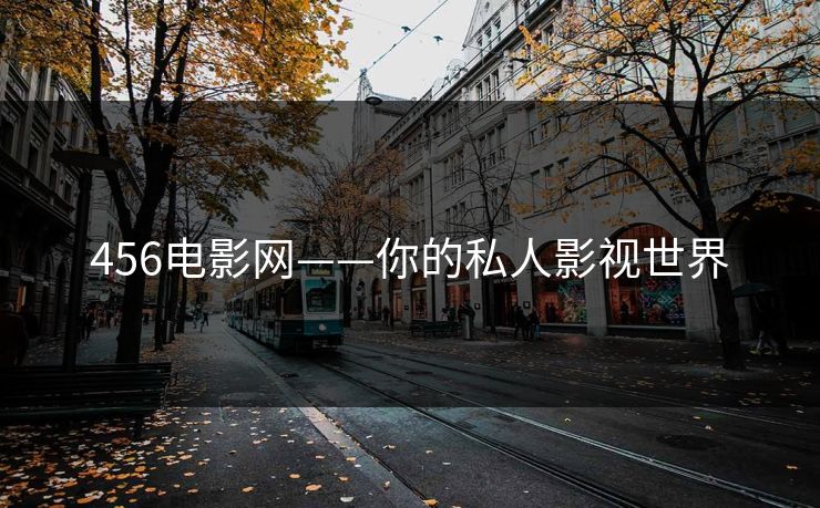 456电影网——你的私人影视世界