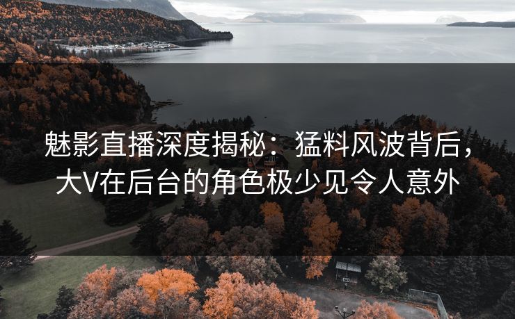 魅影直播深度揭秘:猛料风波背后,大V在后台的角色极少见令人意外