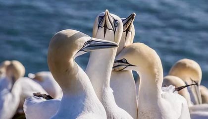 新91视频相关的91大事件每日大赛突然不像表面那么简单