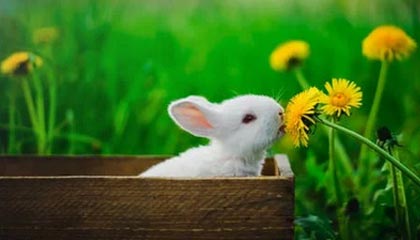 这条蘑菇片场让我起疑：小城故事为什么突然变味？（一段被删的花絮）